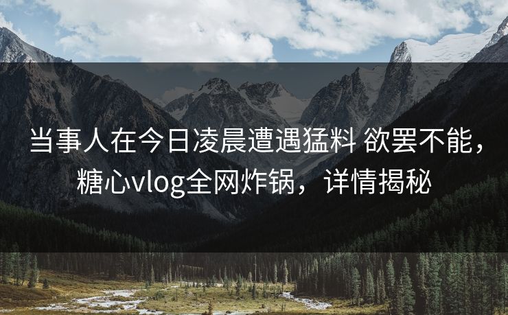 当事人在今日凌晨遭遇猛料 欲罢不能，糖心vlog全网炸锅，详情揭秘  第1张