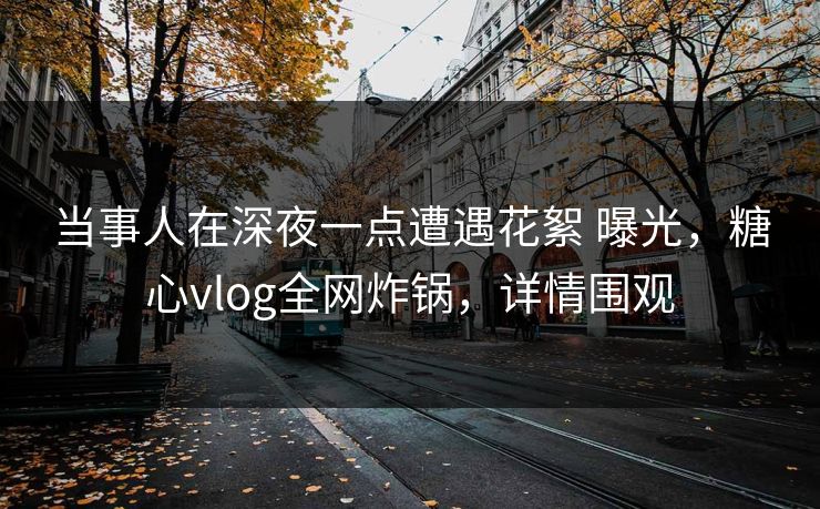 当事人在深夜一点遭遇花絮 曝光，糖心vlog全网炸锅，详情围观  第1张
